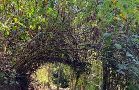 Chalé Laranja - Sítio Caldeirão - Foto 49