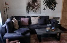 The Cottages - Pet Friendly - Photo 6