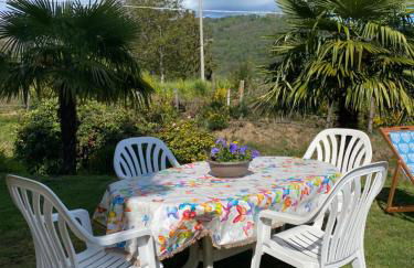 il tulipano - Photo 38