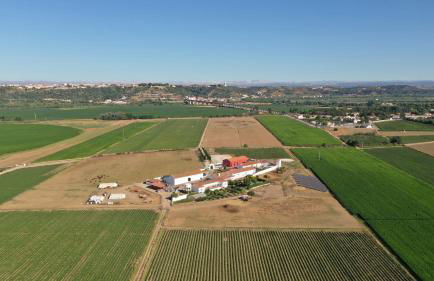 Quinta da Gafaria - Foto 7