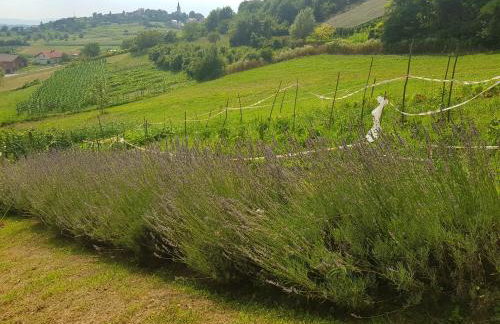 Apartman 2 - Foto 33