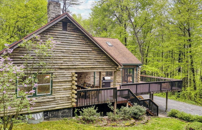 Secluded Forest Sanctuary Outdoor Living, Yard, Views Half Moon by Avantstay - Foto 77