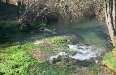 Oliveira's Little House - Foto 23