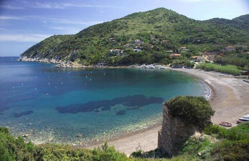 Cota Quinta - Foto 7