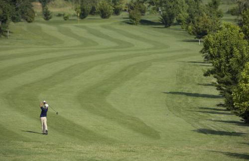 Manoir de La Brunie-Grand Longere - Foto 45