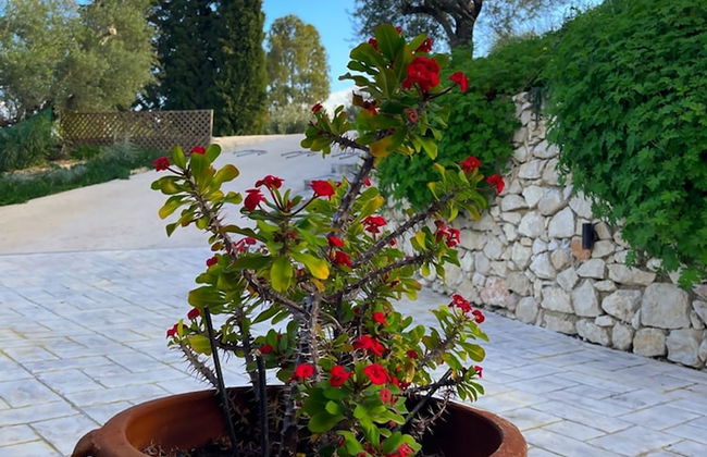 Villa De La Vita Alykes - Foto 29