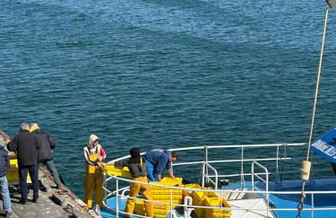 Appartement Design X - Hyper Centre - Parking Privé - Terrasse Plein Sud Quimper - Photo 49