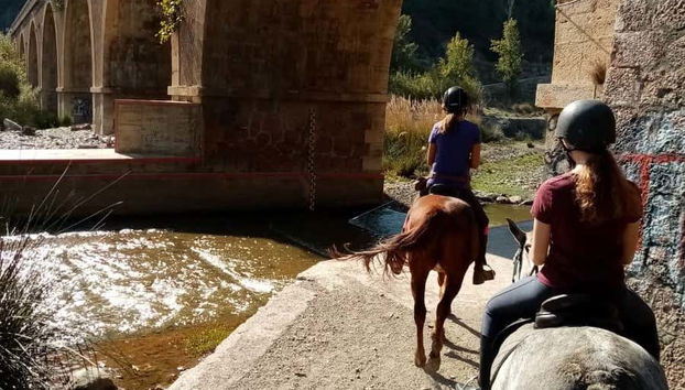 Crossing ancient bridges