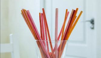 Canary House Gold - Foto 5