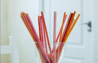 Canary House Gold - Foto 5