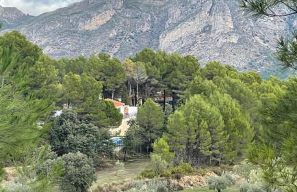 La Colina de Charly - Foto 29