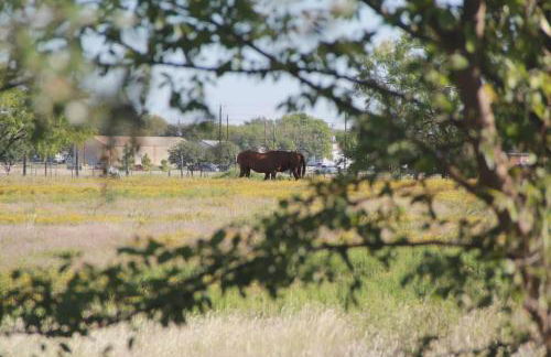 Cozy 4 bedroom home with Greenbelt views in Oak Point - Foto 7