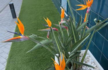 Palmview Poolside Heaven in Turquesa del Mar - Foto 36