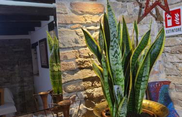 Ca'del Porto - Foto 29