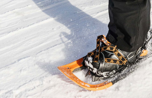 Passeggiata con racchette da neve - Foto 5