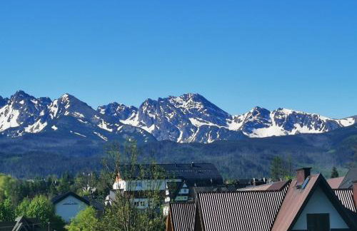 Apartament Górski Potok Murzasichle Apartamenty Murzasichle PL - Foto 25