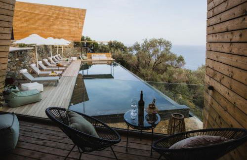 Five Olive Dream Trip - Photo 48