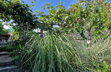 VILLA SALVIA - Holiday house with pool - - Foto 6