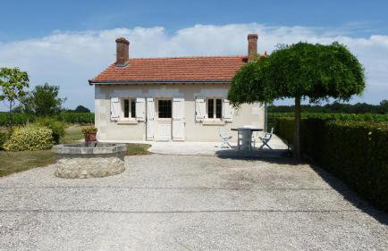 l'Ecrin au coeur des vignes - Foto 1