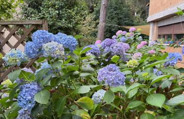 Bed & Coffee Private Parking - Foto 26