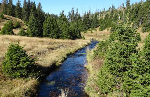 Apartment Almberg - Foto 60