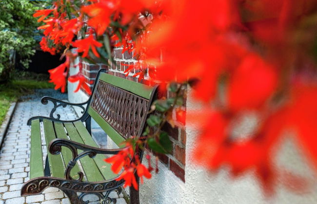 Peaceful Garden Stay, Malmedy - Foto 32