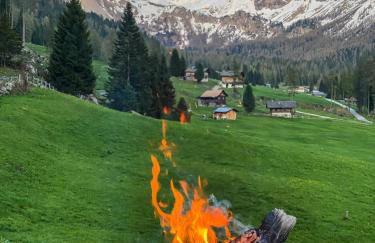 Cesa Bernard - Apartment Cima 12 e new Apartment Fraine - Foto 42