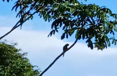 Casa Amarela Ecoloft Brasil 88 - Foto 64