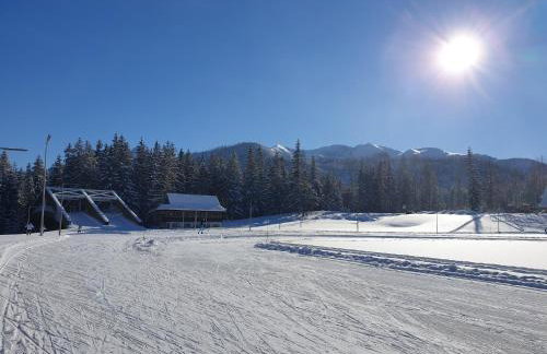 Apartament TatraVika - Photo 53