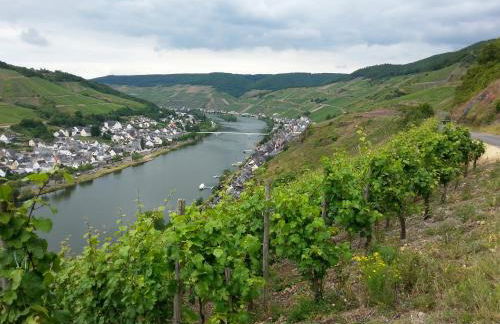 "Ferienhaus An der Mosel" - Foto 64