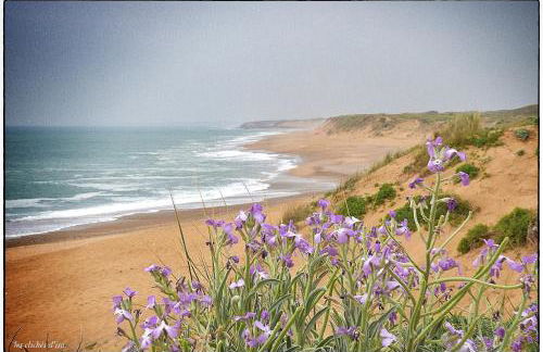 Les Agapanthes d Elisabeth - Piscine - Foto 31