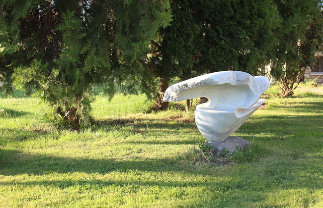 Galeria In The Garden - Photo 45