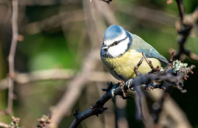 Trekking nella riserva di Inagua - Foto 4