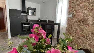 Le pont Saint Roch Logement lumineux avec garage - Foto 2, stove