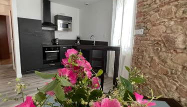 Le pont Saint Roch Logement lumineux avec garage - Foto 1, stove