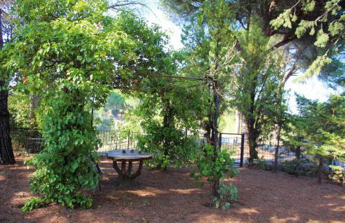 il nuvoloso - Photo 20