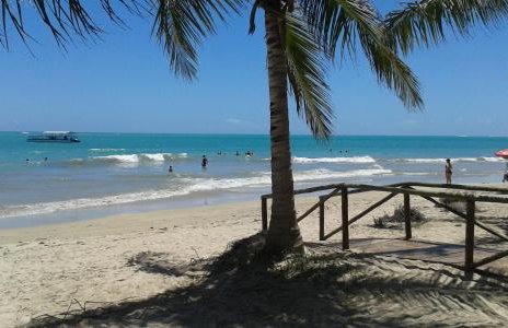 Jardim Atlantico - Foto 5