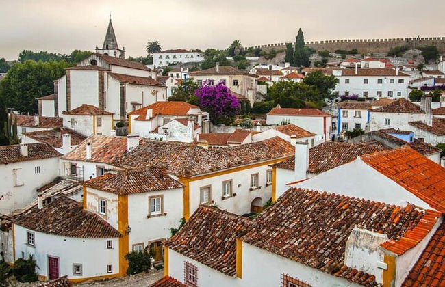 Tour privato di un'intera giornata: Santuario di Fatima, Batalha, Nazaré, Óbidos - Foto 14