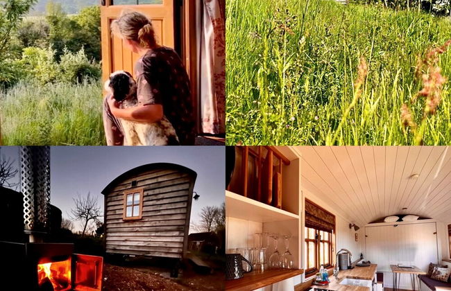 Woodpecker Hill - Apple Orchard in Alfriston - Foto 8