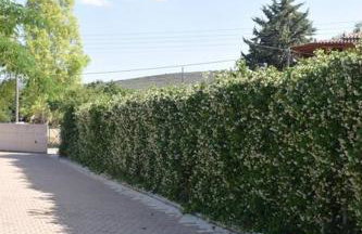 Βίλα Εύη - Foto 12