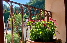 Regina dei fiori - Foto 27