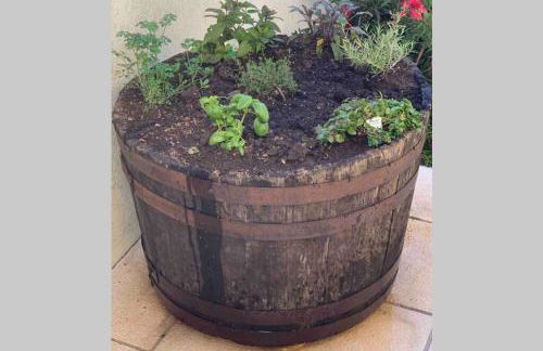 VILLA ON TOP MONTE SÃO FELIX - Foto 48