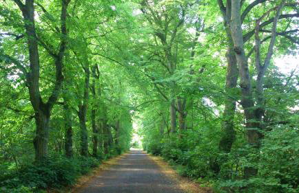 Dworek Świdwie, Górny Apartament & Harcówka - Foto 52