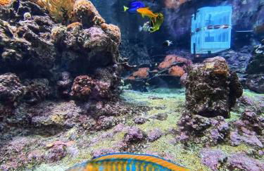 Visit_genova - Foto 31