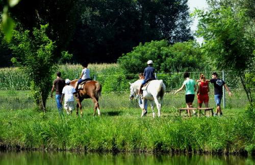 Agriturismo Adriano Pedretti - Foto 38