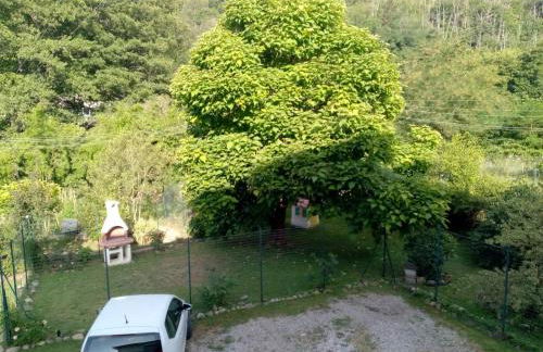 L'Erbetta fra le Cinque Terre e la Val di Vara - Photo 53