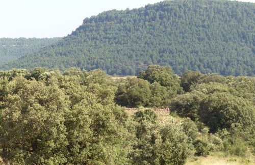 MOLINO DOLZ - Foto 68