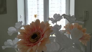 In vacanza a Itri - Casa Ileana - Foto 5