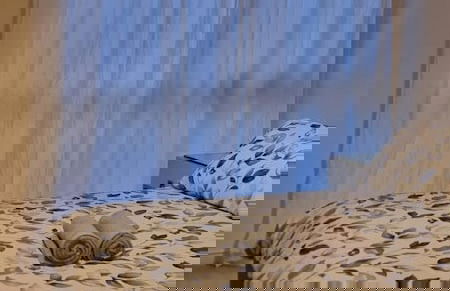 Stunning 2-bed Apartment Near Colindale Station - Foto 15