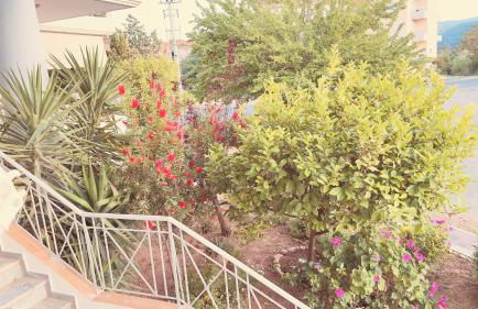 Το Φιλόξενο Σπιτάκι! - The Friendly Nest ! - Foto 37